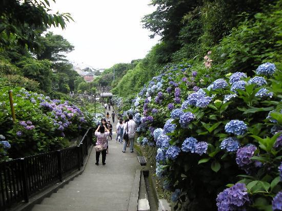 トリップアドバイザー提供