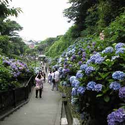 トリップアドバイザー提供