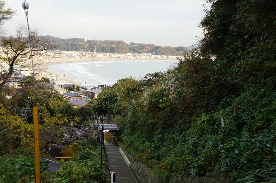 トリップアドバイザー提供