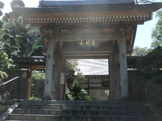 トリップアドバイザー提供