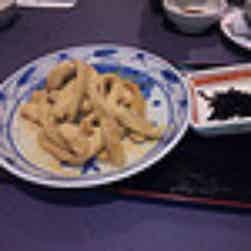 トリップアドバイザー提供