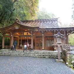 トリップアドバイザー提供