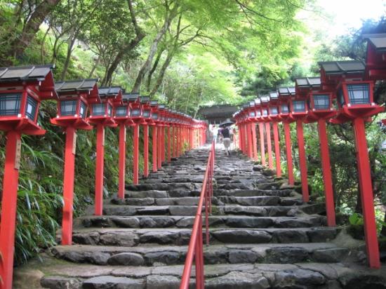 トリップアドバイザー提供