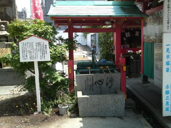 トリップアドバイザー提供