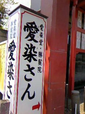 トリップアドバイザー提供