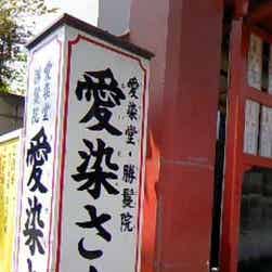 トリップアドバイザー提供