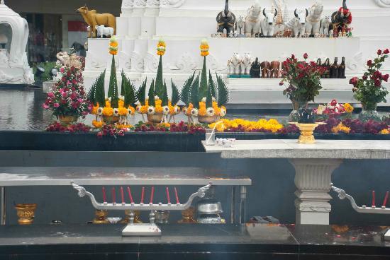 トリップアドバイザー提供