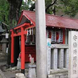 トリップアドバイザー提供