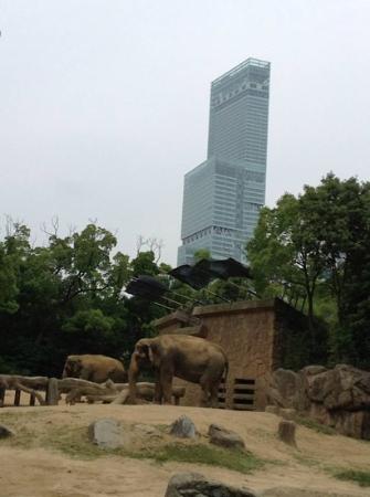 トリップアドバイザー提供