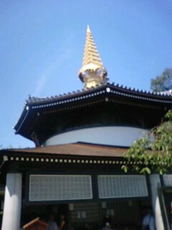 トリップアドバイザー提供