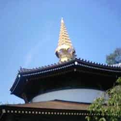 トリップアドバイザー提供