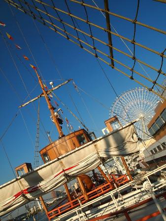 トリップアドバイザー提供