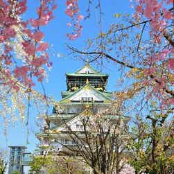 トリップアドバイザー提供