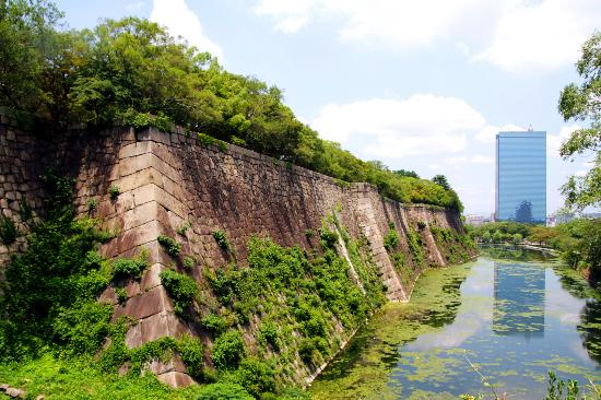 トリップアドバイザー提供