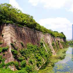 トリップアドバイザー提供