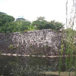 トリップアドバイザー提供