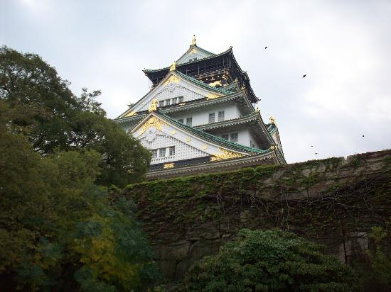 トリップアドバイザー提供