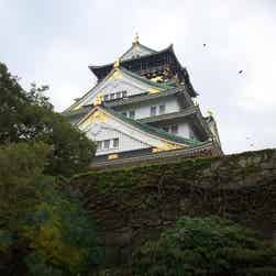 トリップアドバイザー提供