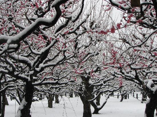 トリップアドバイザー提供