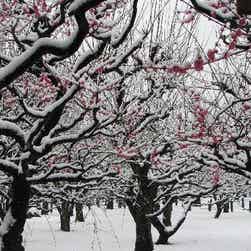 トリップアドバイザー提供