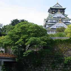 トリップアドバイザー提供