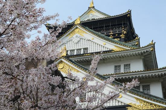 トリップアドバイザー提供