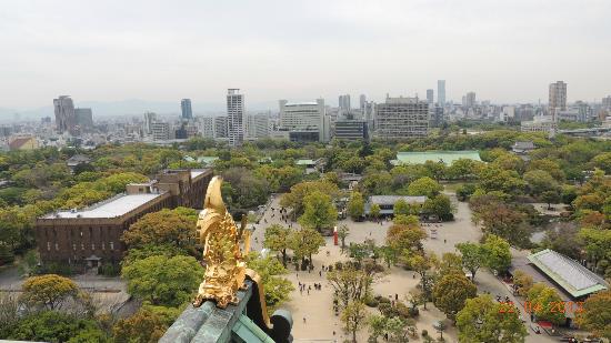 トリップアドバイザー提供