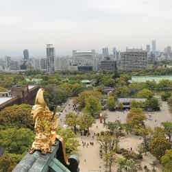 トリップアドバイザー提供