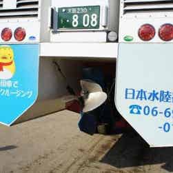 トリップアドバイザー提供