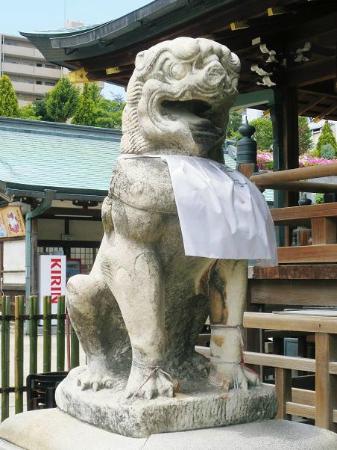 トリップアドバイザー提供