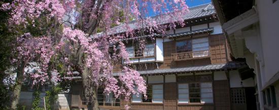 トリップアドバイザー提供