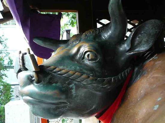 トリップアドバイザー提供