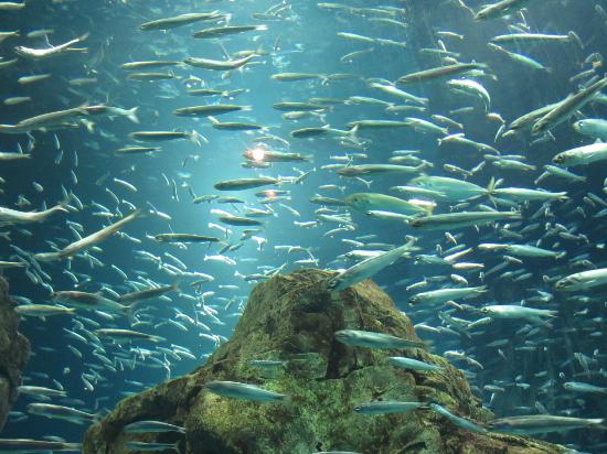 トリップアドバイザー提供