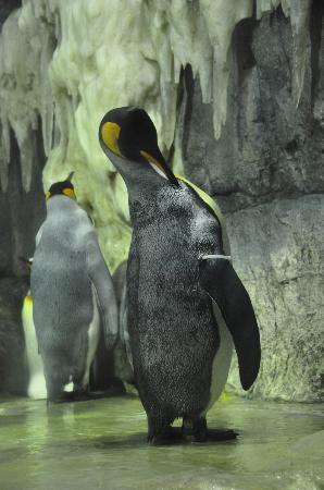 トリップアドバイザー提供