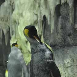 トリップアドバイザー提供