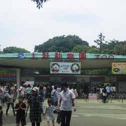 トリップアドバイザー提供