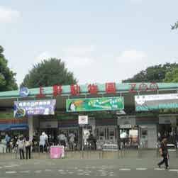 トリップアドバイザー提供