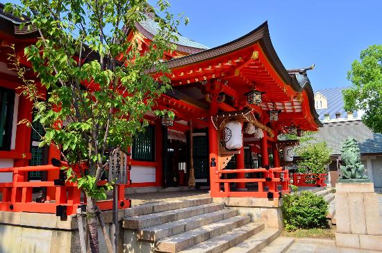 トリップアドバイザー提供