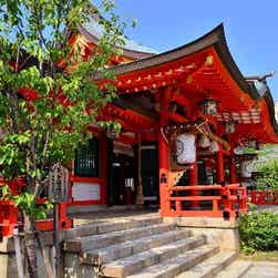 トリップアドバイザー提供