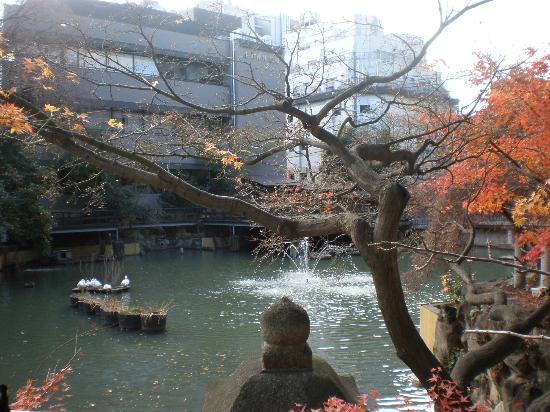 トリップアドバイザー提供