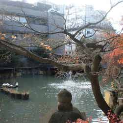 トリップアドバイザー提供