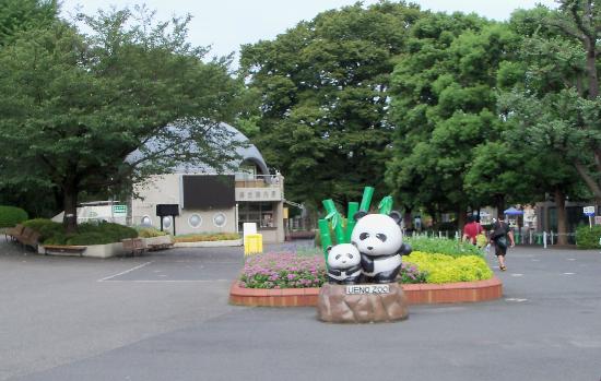 トリップアドバイザー提供