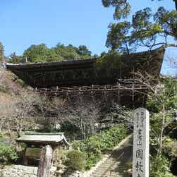 トリップアドバイザー提供