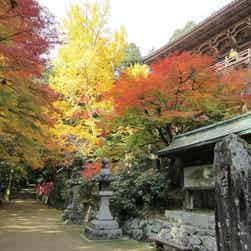 トリップアドバイザー提供