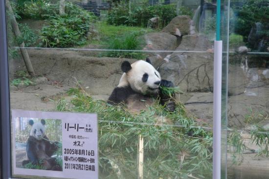 トリップアドバイザー提供