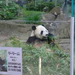 トリップアドバイザー提供