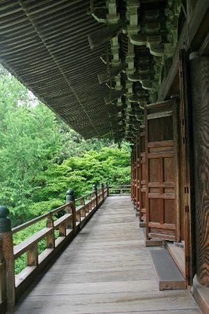 トリップアドバイザー提供