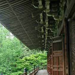 トリップアドバイザー提供