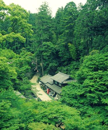 トリップアドバイザー提供