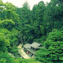 トリップアドバイザー提供